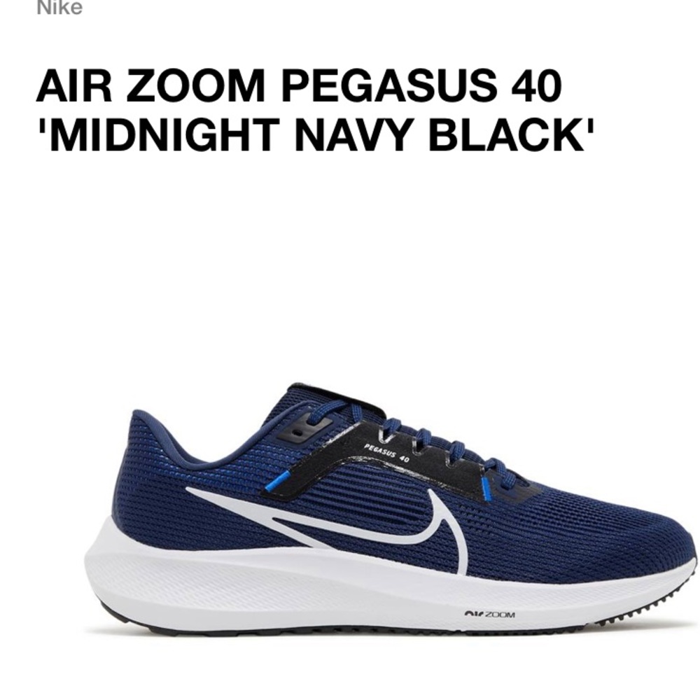 Mens Nike Pegasus 40 Size 11.5